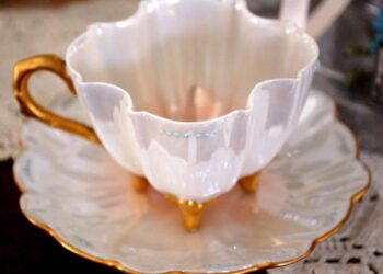 Blogs, die immer noch bloggen – Carrying Historical past® Weblog