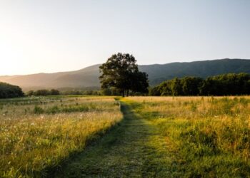 Ich wünsche Ihnen ein schönes Wochenende. | Cup of Jo
