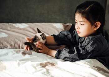 11 Leserkommentare zu Haustiere