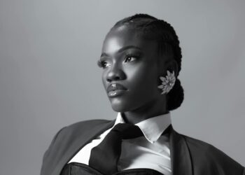 Alles, was Sie über Assertion-Ohrringe wissen müssen