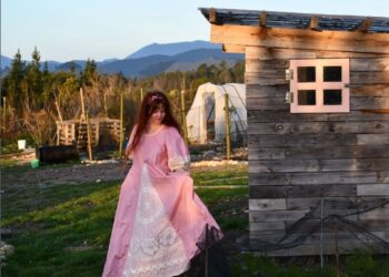 Das Summit-Kleid: Tester macht Teil 2!