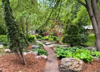 Meine Gartenpläne für 2024 und die emotionalen Vorteile der Gartenarbeit | Wit & Delight