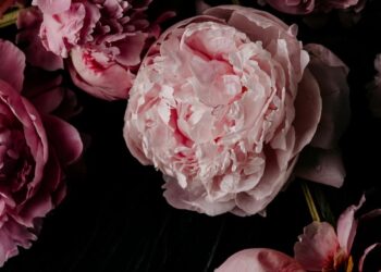 Schöne Wochenende. | Tasse Jo