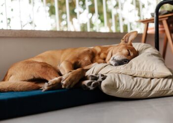Habt ein gemütliches Wochenende. | Cup of Jo