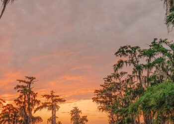 Die 10 besten Sehenswürdigkeiten in Louisiana – nur Handgepäck