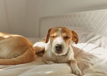 Habt ein erholsames Wochenende. | Tasse Jo