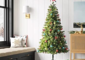 Sparen Sie 50 % auf Weihnachtsbäume bei Goal: Wondershop, vorbeleuchtete Alberta-Fichte, 6,5 Fuß. Baum nur 27,50 $ (Reg. 50 $!), plus mehr!