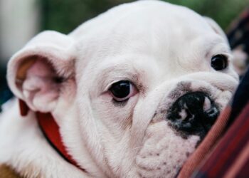 Habt ein gemütliches Wochenende. | Tasse Jo