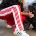 Pattern-Geschenkalarm: Adidas | Leben in Gelb