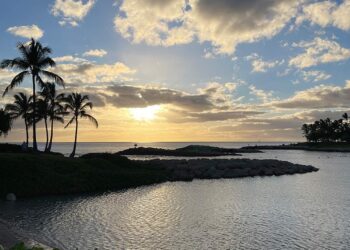 Make-up- und Magnificence-Weblog-Montagsumfrage, Bd. 861