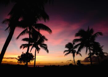 Tipps für Inselhopping auf Hawaii