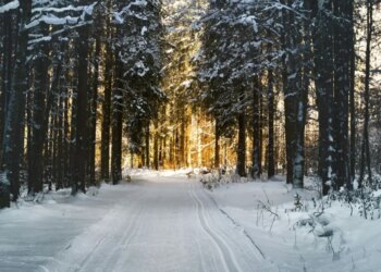 Wie die saisonale Melancholy mein Leben übernahm und wo sie begann