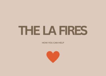 Wie Sie bei den Waldbränden in LA helfen können: Organisationen, an die Sie spenden können