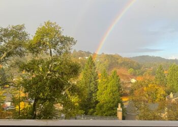 Make-up- und Magnificence-Weblog-Montagsumfrage, Bd. 865