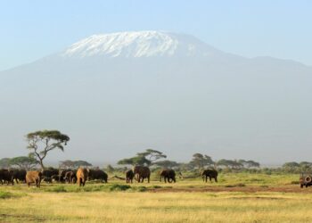 10 Gründe, warum eine tansanische Safari auf Ihrer Wunschliste stehen sollte
