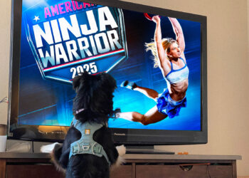 Sundays With Tabs the Cat, Make-up- und Magnificence-Weblog Mascot, Bd. 846