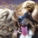 Sundays With Tabs the Cat, Make-up- und Magnificence-Weblog Mascot, Bd. 847