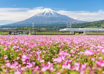Tipps für Reisen in Japan mit Kindern