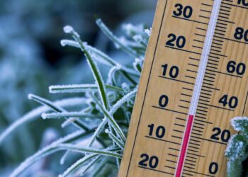 Wie philippinische digitale Nomaden in nicht-tropischen Klimazonen gedeihen können