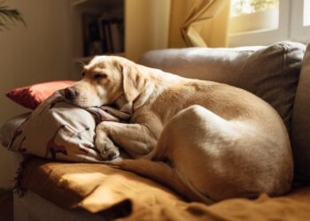 Ich wünsche Ihnen ein erholsames Wochenende. | Tasse Jo