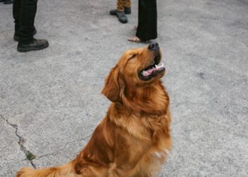 Ich wünsche Ihnen ein schönes Wochenende. | Tasse Jo