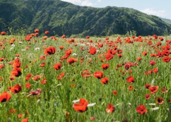 Ich wünsche Ihnen ein schönes Wochenende. | Tasse Jo