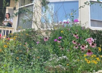 Was magst du, wo du lebst? 14 Leser teilen …