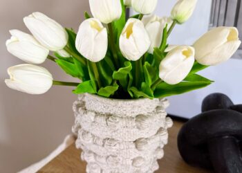 Der beste Frühling, den Amazon findet