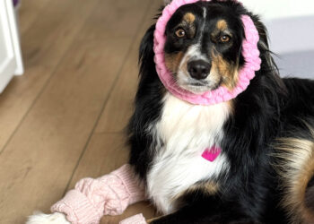 Sonntags mit Tabs The Cat, Make -up und Magnificence Weblog Maskott, Vol. 854