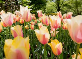 Schöne Wochenende. | Tasse Jo
