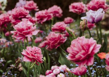 Schöne Wochenende. | Tasse Jo