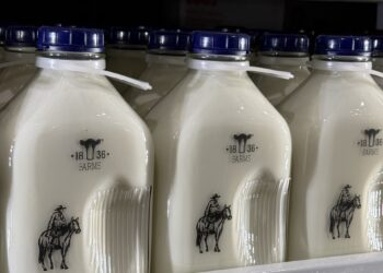 9 Vorteile von rohen Milchprodukten, die Sie überzeugen, Ihre Milchprodukte auszuschalten