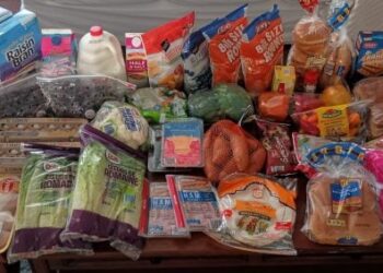 Brigette’s 182 US-Greenback für Lebensmitteleinkauf und wöchentlicher Menüplan für 5 (Lagerwoche!)