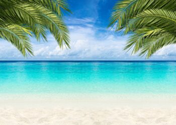 Membership Paradise Coron: Die ultimative Luxus -Flucht