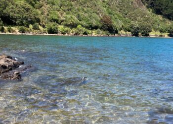 Eine Märchenpinguin -Pinguin -Märchenpodin