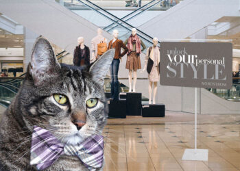 Sonntags mit Tabs The Cat, Make -up und Magnificence Weblog Maskott, Vol. 858