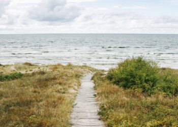 Unsere Bearbeitung: Sommerverkauf der alten Marine
