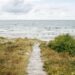 Unsere Bearbeitung: Sommerverkauf der alten Marine