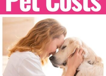 25 Möglichkeiten zum Einsparen von Haustierkosten