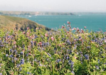 Schöne Wochenende. | Tasse Jo