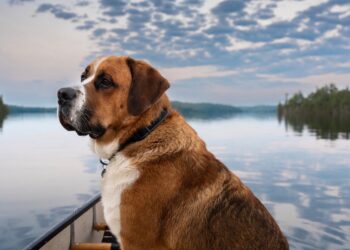 Ich wünsche Ihnen ein süßes Wochenende. | Tasse Jo