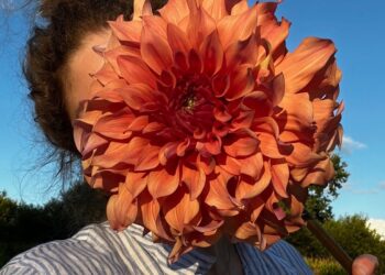 10 Leser teilen ihre wunderschönen Gärten