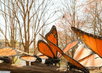 Die neueste Ausstellung des Fairchild Tropical Botanic Backyard bietet Ihnen ein Aufsehen