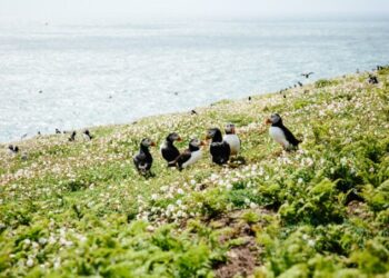 Ich wünsche Ihnen ein schönes Wochenende. | Tasse Jo