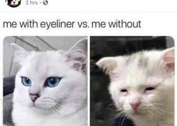 Wie machst du deinen Eyeliner?