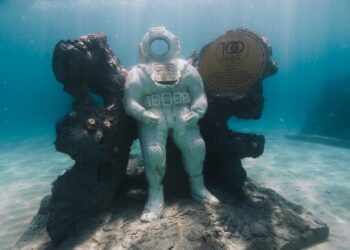 Der Diplomat macht während des Nationwide Ocean Month Furre für Furore