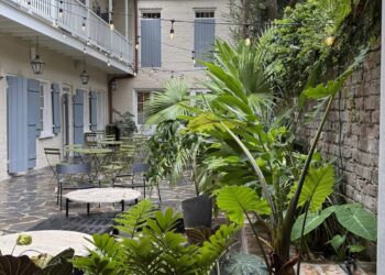 Was zu essen, zu sehen und zu erleben