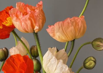 Ich wünsche Ihnen ein schönes Wochenende. | Tasse Jo