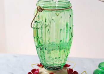 Hummingbird -Essen – ein schönes Chaos