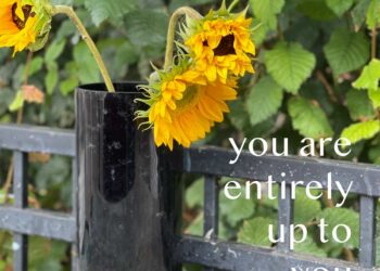 Make -up and Magnificence Weblog Monday Ballot, Vol. 881